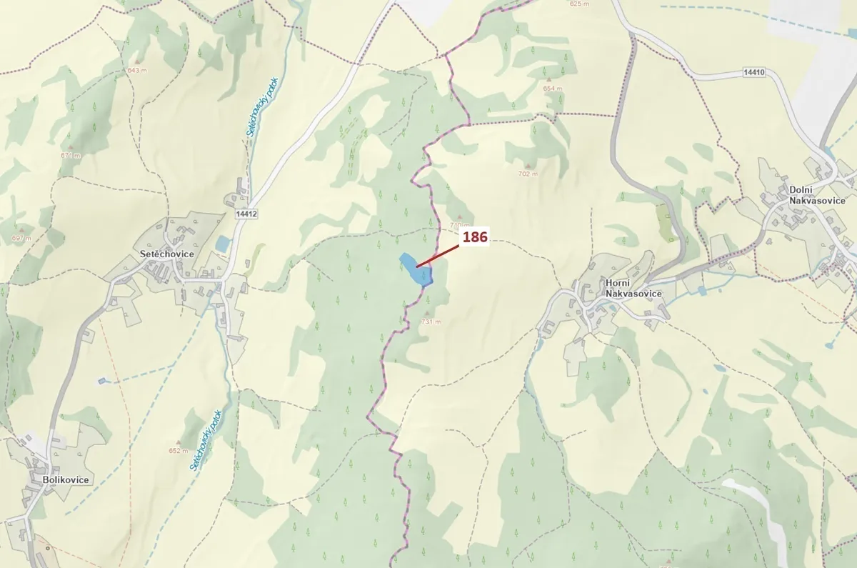 Dražba lesa 4542 m²